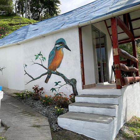 Cabañas Valle del Cocora La Truchera Salento Exterior foto