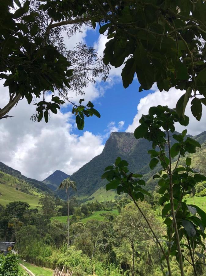 Cabañas Valle del Cocora La Truchera Salento Exterior foto