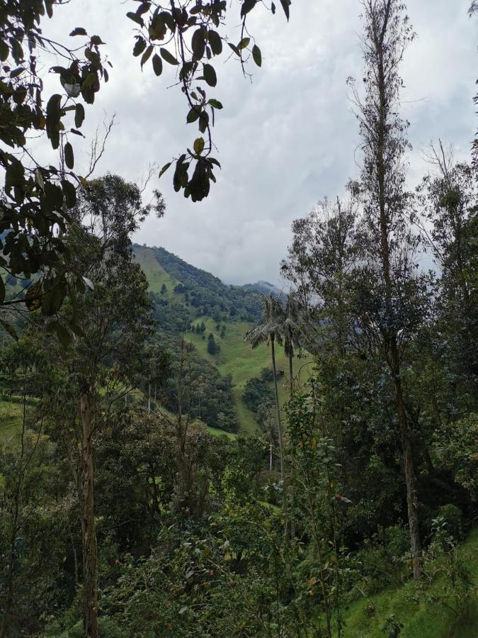 Cabañas Valle del Cocora La Truchera Salento Exterior foto