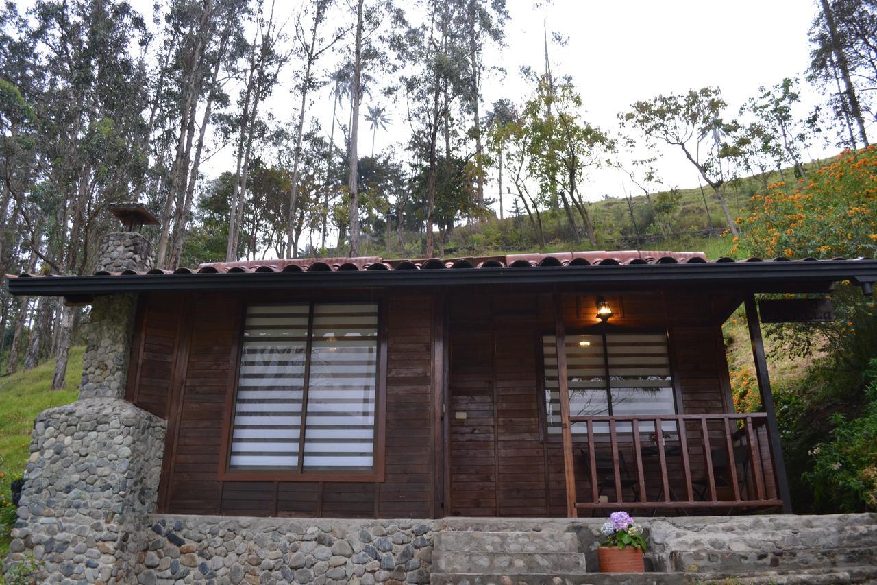 Cabañas Valle del Cocora La Truchera Salento Exterior foto