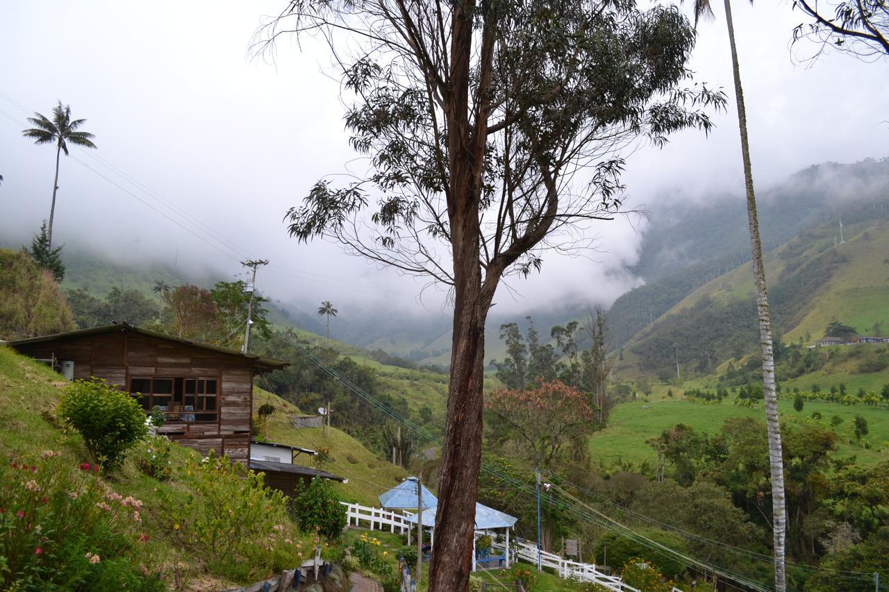 Cabañas Valle del Cocora La Truchera Salento Exterior foto