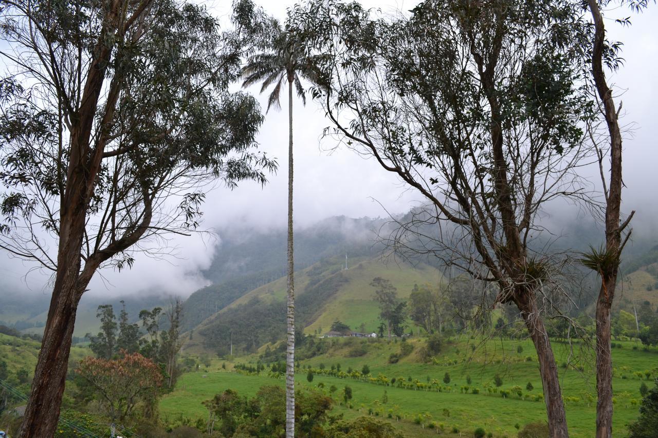 Cabañas Valle del Cocora La Truchera Salento Exterior foto
