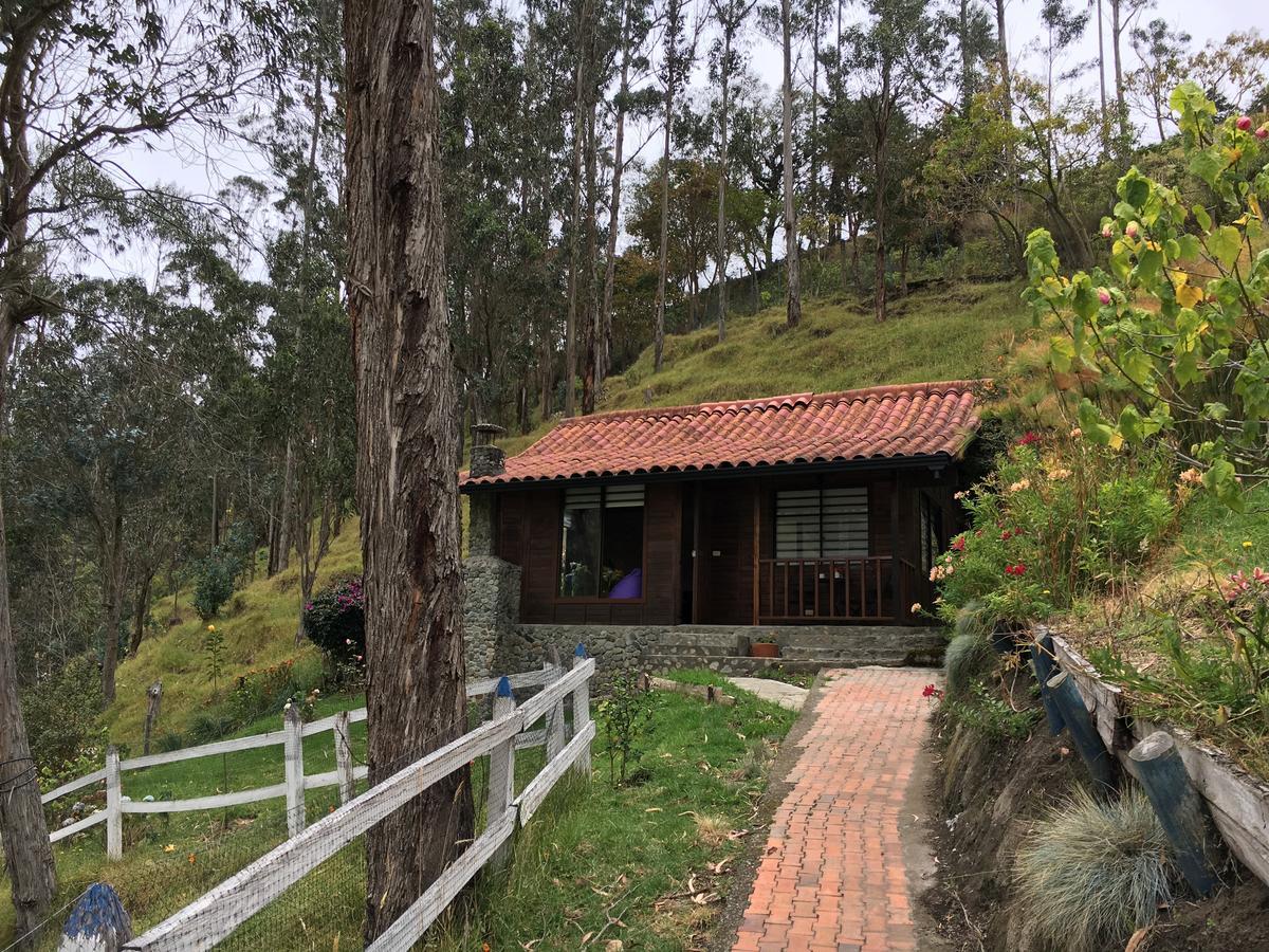 Cabañas Valle del Cocora La Truchera Salento Exterior foto