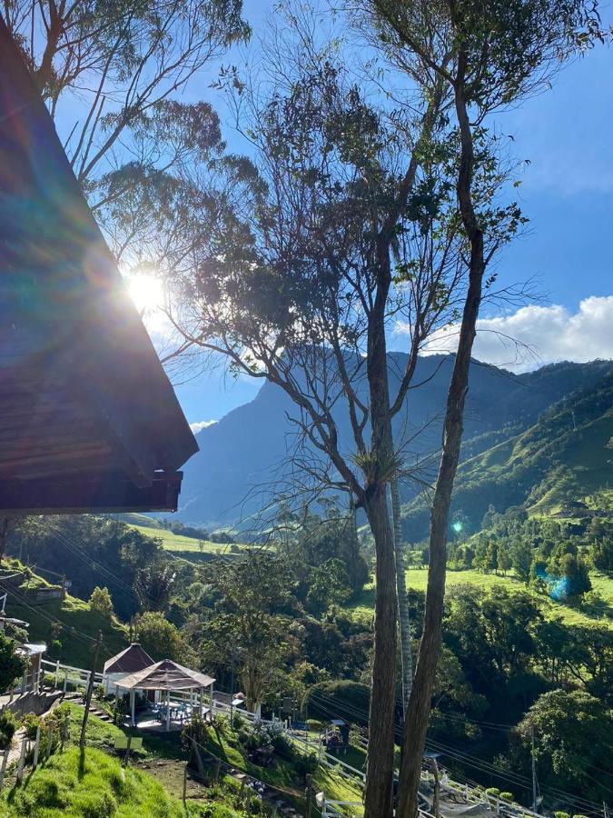 Cabañas Valle del Cocora La Truchera Salento Exterior foto