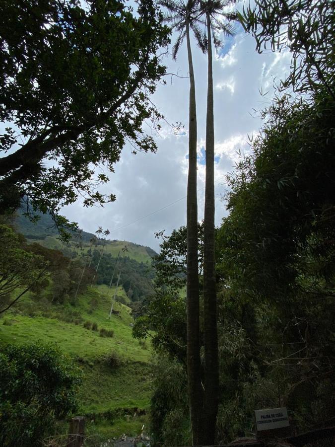 Cabañas Valle del Cocora La Truchera Salento Exterior foto