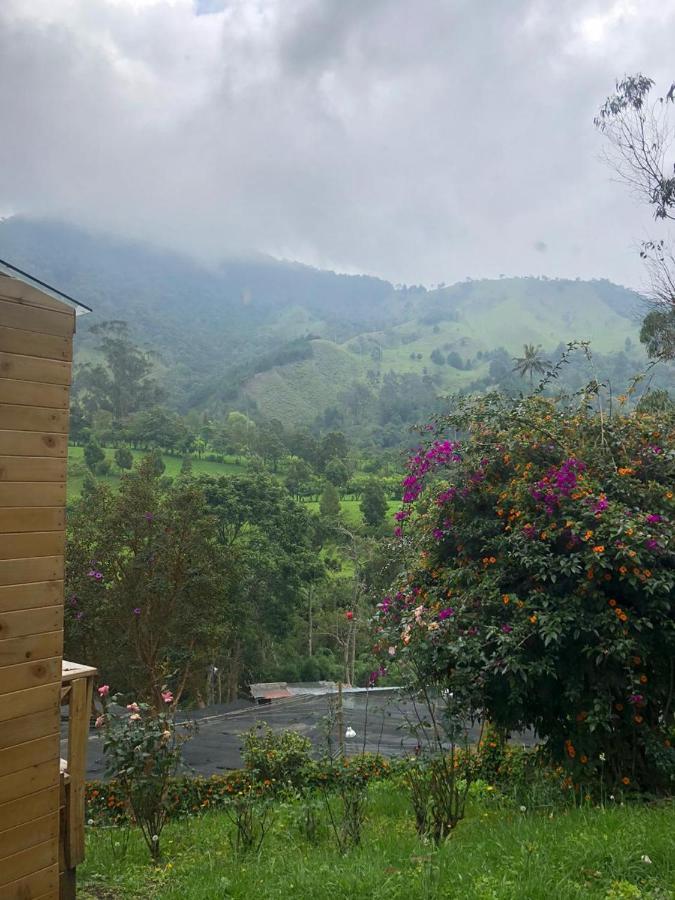 Cabañas Valle del Cocora La Truchera Salento Exterior foto